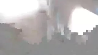 کیتی جنت ہے اور آخر کتا انداز دینے سے سیکسی انسان با حیوان پہلے ایک گہری blowjob