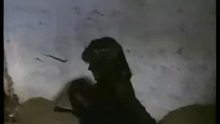 خوبصورت سنہرے بالوں والی سوفیا سکسی کہانی Lynn کے اس کے پریمی کے ایک اچھا کام