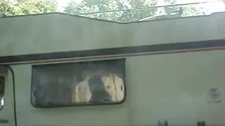 جنسی کلاسک سنہرے بالوں والی سیکسی فلم پاکستانی خوبصورتی اس کے سر اور اس بلی چاٹ لیا ہو جاتا ہے